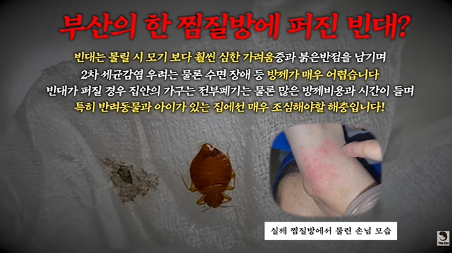 사진 | 유튜브 채널 ‘다흑’