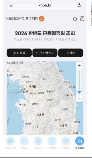 2026 한반도 단풍검색 서비스 (산림청 제공)