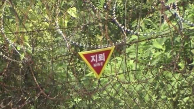 군 작전지역에 설치된 지뢰 경고 표지판. (SBS 캡처)