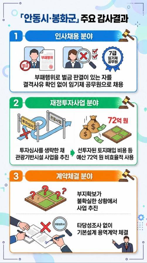감사 결과 인포그래픽 [감사원 제공]