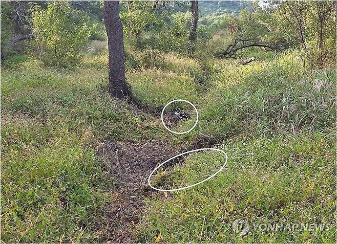 합참이 공개한 지뢰폭발 화구 사진 (서울=연합뉴스) 28일 서울 용산구 국방부에서 열린 합참 '비무장지대 지뢰 추정 폭발 사고' 브리핑에서 공개된 '지뢰 폭발 화구' 사진. 2026.9.28  [합동참모본부 제공. 재판매 및 DB금지] photo@yna.co.kr