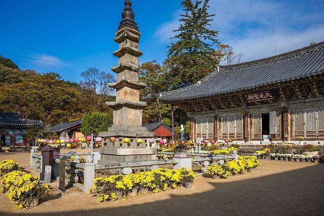 대광보전 현판이 걸린 전각 앞에 오층석탑이 서 있다. 탑 꼭대기에 금속 보탑이 얹혀 있고 둘레로 국화 화분이 놓였다. 사진=한국관광공사(이효직) 제공