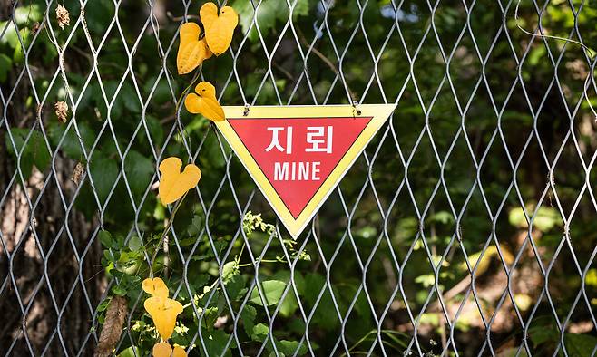 30일 경기도 연천군 서부전선 비무장지대(DMZ) 민간인통제선 지역에 지뢰 경고 표지판이 설치되어 있다. 연합뉴스