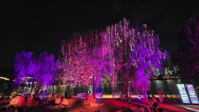 ▲(Luminous Nodeul Willows)은 2026 서울라이트 한강 빛섬축제에서 선보인 국내외 미디어 아티스트 그룹 '공간실험(Spatial Practice)'의 대표적인 예술 작품이다. 사진=장혜원 기자