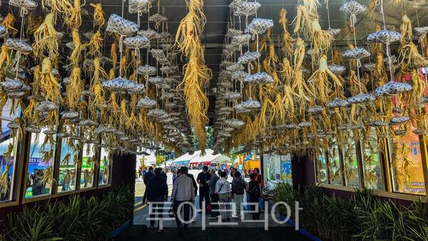 사진 / 금산세계인삼축제 행사장_투어코리아 유지훈 기자
