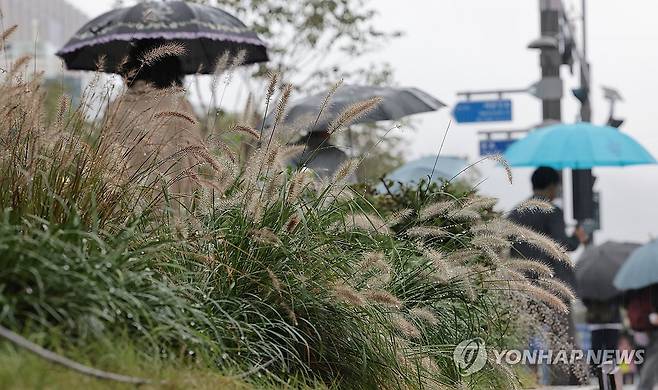 가을비 [연합뉴스 자료사진]