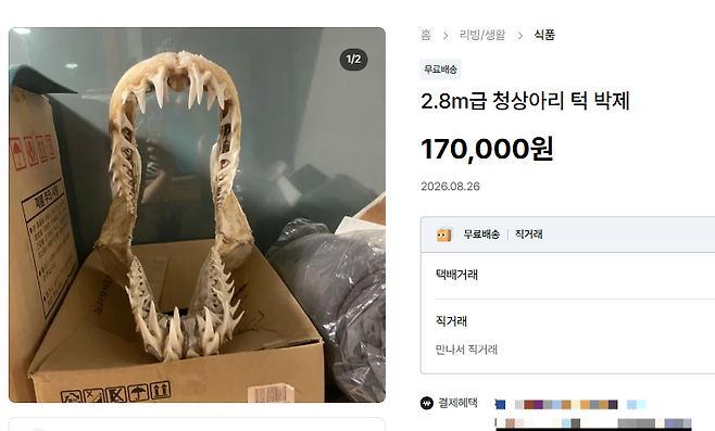 청상아리 박제가 중고거래되고 있다.[중고나라 ‘호랑이 박제’ 판매 페이지 갈무리]