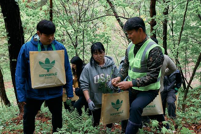 ▲ 영양산나물축제 산나물 채취 체험. 영양군