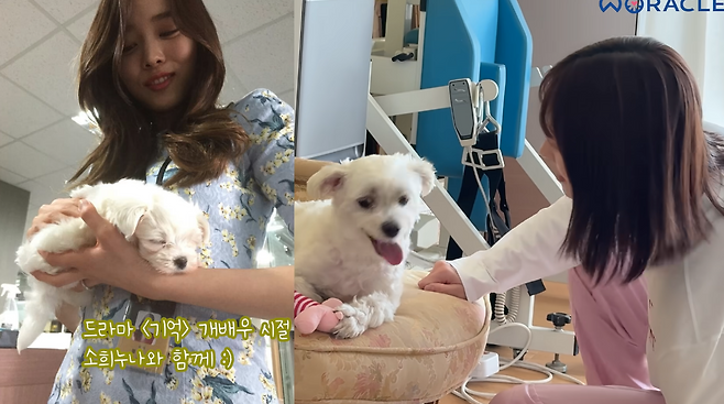 사진=박위 유튜브 채널 ‘위라클’