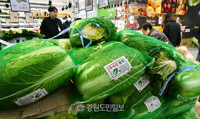 ▲ 강원도민일보 자료 사진
