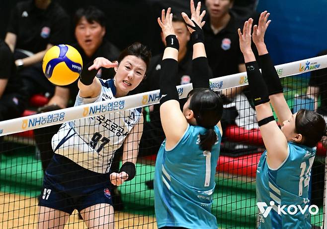[서울=뉴시스] 여자 프로배구 한국도로공사 강소휘가 18일 전남광주 여수 진남체육관에서 열린 2026 여수 NH농협컵 프로배구대회 결승에서 GS칼텍스를 상대로 공격을 시도하고 있다. (사진=KOVO 제공) 2026.10.18.