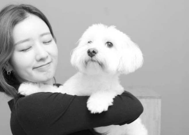 윤보미와 설탕이. 윤보미 인스타그램 캡처