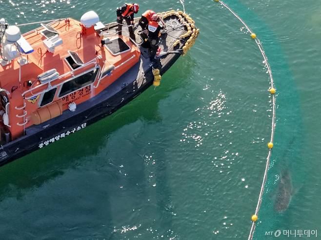 관계 당국은 지난달 29일 선박과 물 분사 장비를 동원해 부캉이를 바다로 유도했지만 실패했다. 이달 2일 대형 그물을 활용한 2차 구조작업에서도 부캉이가 다시 수로 안쪽으로 돌아오면서 구조에 성공하지 못했다.  당국은 부캉이가 자연적으로 수로를 빠져나가기를 기다리면서 상태를 관찰해 왔다. 그러나 최근 이상행동과 신체 손상이 잇따라 확인되면서 추가 구조 필요성이 커지고 있다.  관계 당국은 이르면 이번 주 부캉이 구조 계획을 발표할 예정이다. /사진=뉴스1