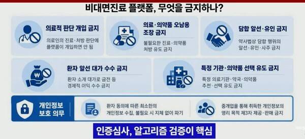 비대면진료 시행을 앞두고 민간 플랫폼 인증심사와 관리체계 마련의 중요성이 국정감사에서 강조됐다. 사진=남인순 의원실 자료 (국회방송 화면)