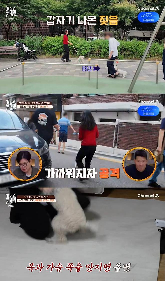 출처:채널A '개와 늑대의 시간2'