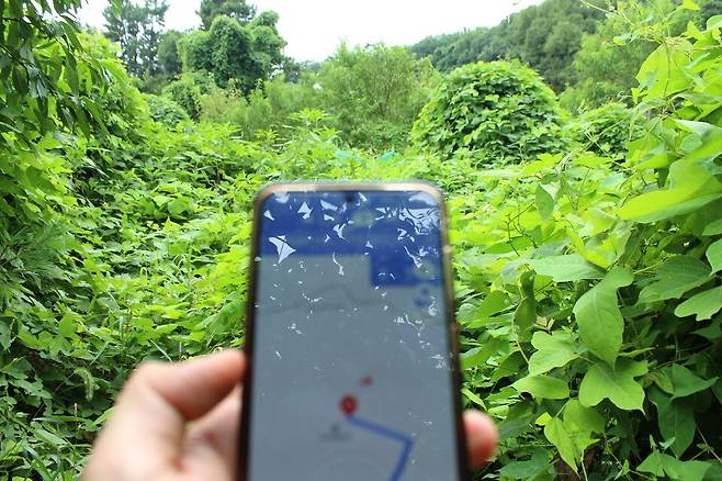 지난달 28일 오후 인천 남동구 수산공설묘지 내부. 휴대전화 내비게이션 상 목적지에 도착했지만, 묘지는 없고 잡초 더미만 보인다./안지섭 기자 ajs@incheonilbo.com