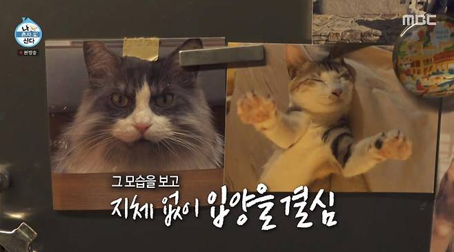 출처:MBC '나 혼자 산다'