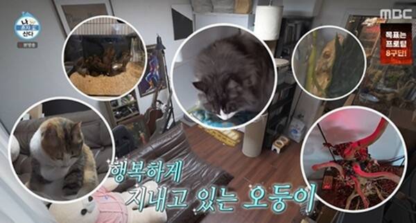 사진=방송 영상 캡처