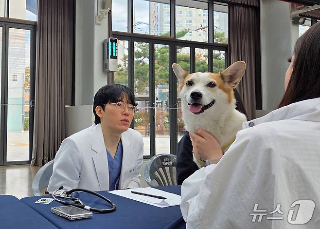 인천스카이동물메디컬센터는 25일 상상플랫폼에서 무료 건강 상담을 진행했다. ⓒ 뉴스1