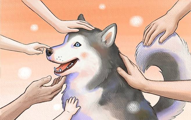 일러스트레이션 노병옥