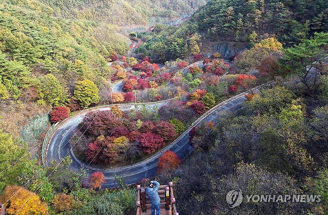 가을 정취 그득한 보발재 단양 보발재 (단양=연합뉴스) 천경환 기자 = 완연한 가을 날씨를 보인 27일 충북 단양군 가곡면 보발재 주변이 단풍으로 물들어 있다. 2026.10.27 kw@yna.co.kr
