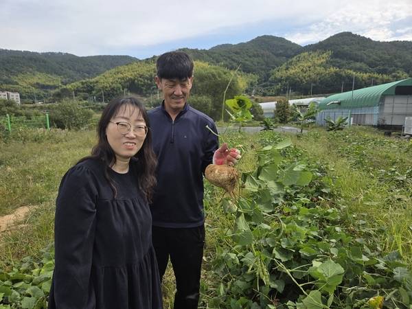 유상옥 올담농원 대표와 그의 남편이 밭에서 캔 히카마를 들어보이고 있다. /표세호 기자