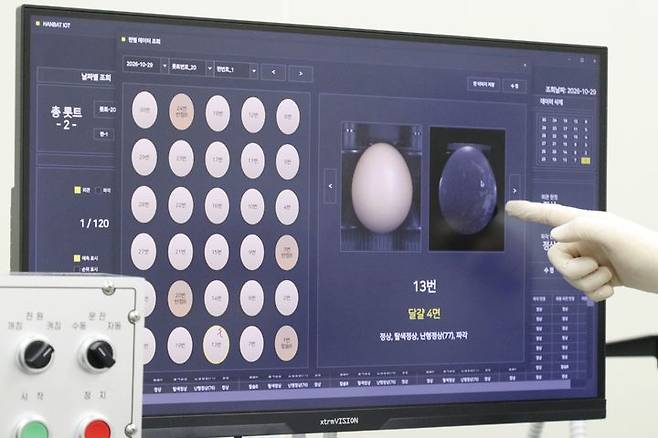 [평택=뉴시스] 29일 경기 평택 와이제이푸드에서 관계자가 인공지능(AI) 기반 계란 품질평가 장비의 모니터에 표시된 계란 외관·투광 이미지와 판정 결과를 가리키고 있다. (사진=축산물품질평가원 제공) 2026.10.29. photo@newsis.com *재판매 및 DB 금지