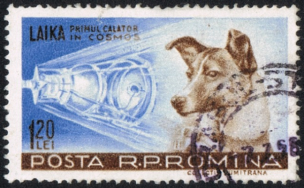 루마니아를 비롯해 알바니아, 폴란드, 북한 등 당시 동구권 국가들은 라이카의 우주비행 기념 우표를 잇달아 발매했다. 사진은 루마니아의 기념 우표다.