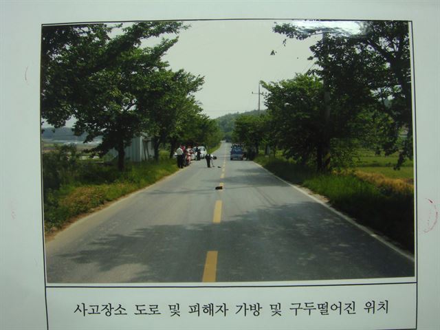 김모 할머니가 2007년 5월 14일 티코 차량에 치여 사망한 충남 보령시 도로. 2㎞ 가까이 직선으로 뻗어 있다. 서울 용산경찰서 제공