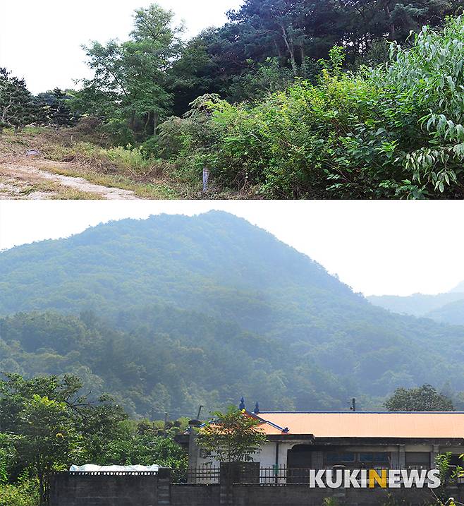 고 김재정씨가 소유했던 대전 유성구 용계동 임야 인근(위)과 충북 옥천군 이원면 땅(아래).