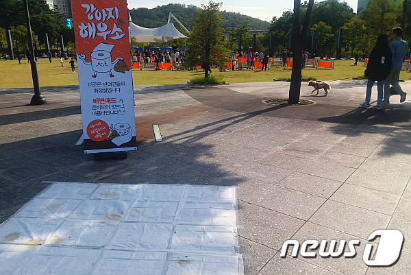 반려동물 축제장에 설치된 배변패드. © News1