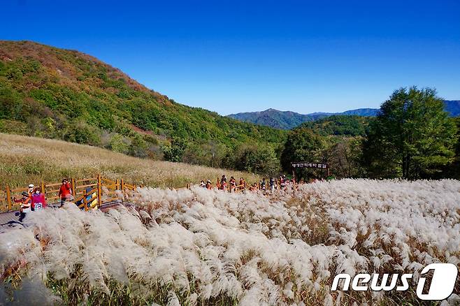 관광공사 11월 추천 여행지, 한탄강벼룻길 © News1