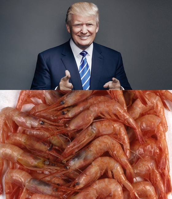 도널드 트럼프 미국 대통령은 공교롭게 한국과 일본 모두에서 새우 요리를 먹었다. [중앙포토]