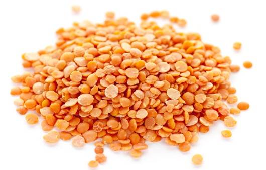 슈퍼곡물_렌틸콩