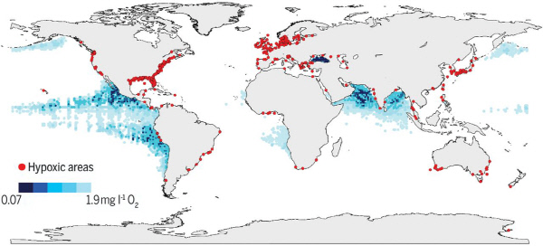 전세계 바다 산소분포도. 붉은색으로 표시된 곳이 저산소 현상이 나타나고 있는 지역이다. 국제학술지 사이언지 홈페이지
