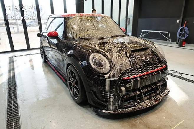 팀와이퍼, 루페스 (세차)