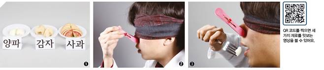 어린이 과학동아 4호 제공