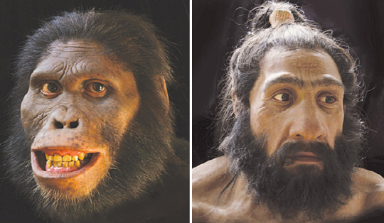 화석 증거로 복원한 오스트랄로피테쿠스 아프리카누스의 얼굴(왼쪽)과 네안데르탈인을 복원한 얼굴. 인류 문명은 ‘얼굴의 문명’이라고 부를 수 있을 정도다. 어떤 생명체도 인간의 얼굴처럼 다양한 정보를 주고받을 수 없다.  을유문화사 제공