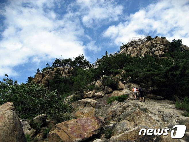 관악산 등산로 전경.(관악구 제공) © News1