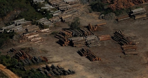아마존 열대우림에서 이루어지는 불법벌목 현장 [브라질 뉴스포털 UOL]