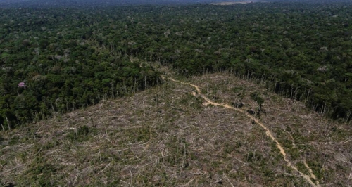 불법벌목으로 사라진 아마존 열대우림 [브라질 뉴스포털 UOL]