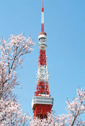 벚꽃시즌의 도쿄