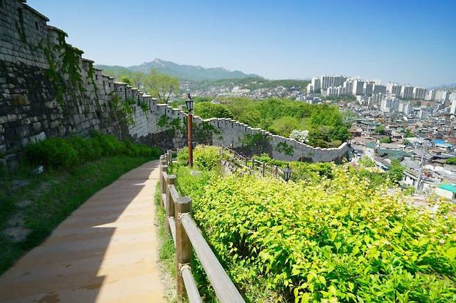 성곽길을 따라 걷다 보면 산과 나무로 가득한 서울의 아름다운 자연을 한눈에 담을 수 있다. (사진=한국관광공사 제공)