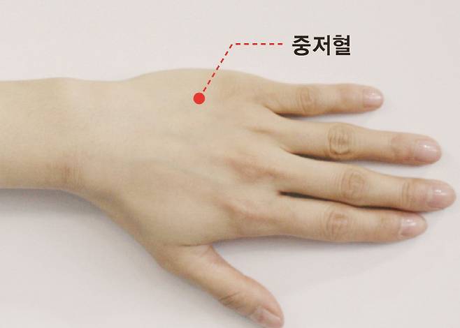 모델 | 이주하 간호사