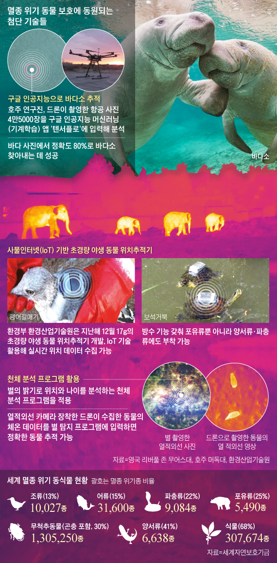 그래픽=이철원