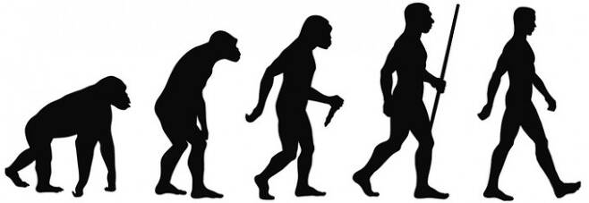 인류의 진화 과정을 나타낸 그림. 인류가 두 발로 걷기 시작한 것은 이보다 앞선 70만 년 전으로 추정되고 있지만, 직립보행을 시작한 건 호모 사피엔스가 출현한 20만~30만 년 전 이후부터로 알려져 있었다. 이런 가운데 최근 630만 년 전 인류 조상도 직립보행을 했다는 새로운 연구 결과가 나왔다. - 사진 출처 위키미디어