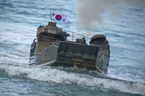한국 해병대 상륙돌격장갑차가 지난 2월 태국서 열린 코브라골드 훈련에 참가해 해변으로 이동하고 있다.