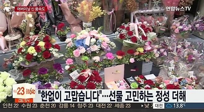 사진=카네이션의 꽃말에 대한 관심이 집중되고 있다.