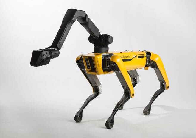 보스턴 다이내믹스가 내년 시판을 준비중인 로봇개 ‘스팟미니’. 보스턴 다이내믹스 제공