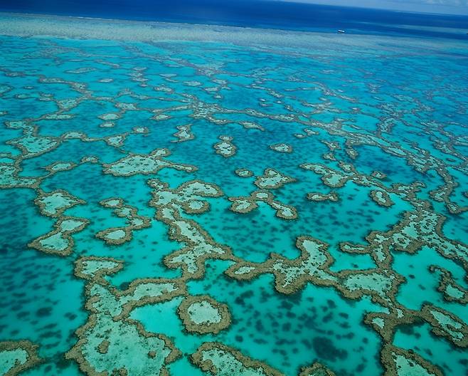 세계 최대의 산호 군락인 오스트레일리아의 그레이트배리어리프(대보초). 기후변화와 환경오염으로 위기를 맞고 있다.  게티이미지뱅크 제공